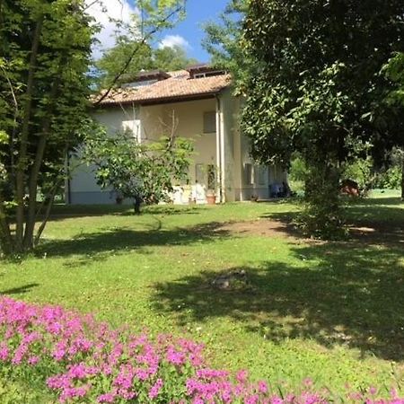 Acero Giallo Parma Buitenkant foto