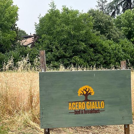 Acero Giallo Parma Buitenkant foto