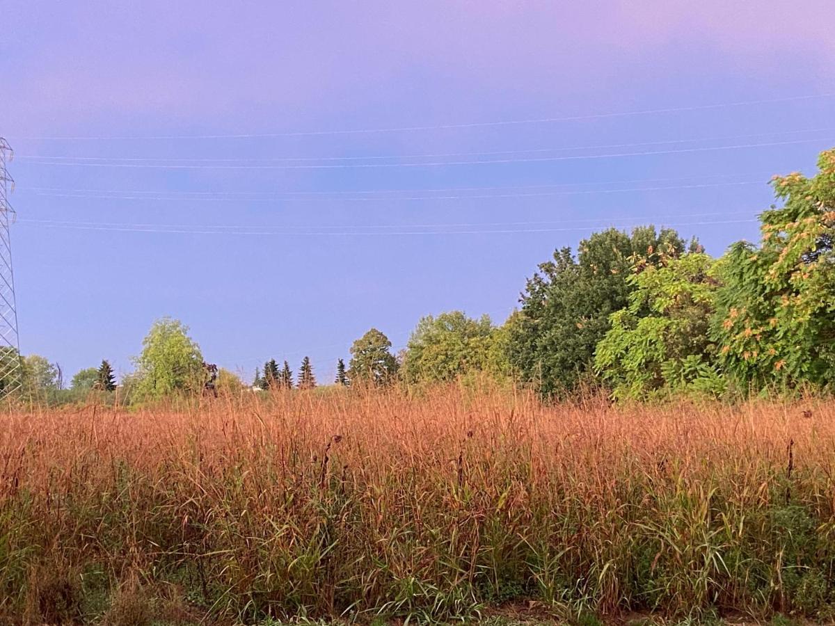 Acero Giallo Parma Buitenkant foto