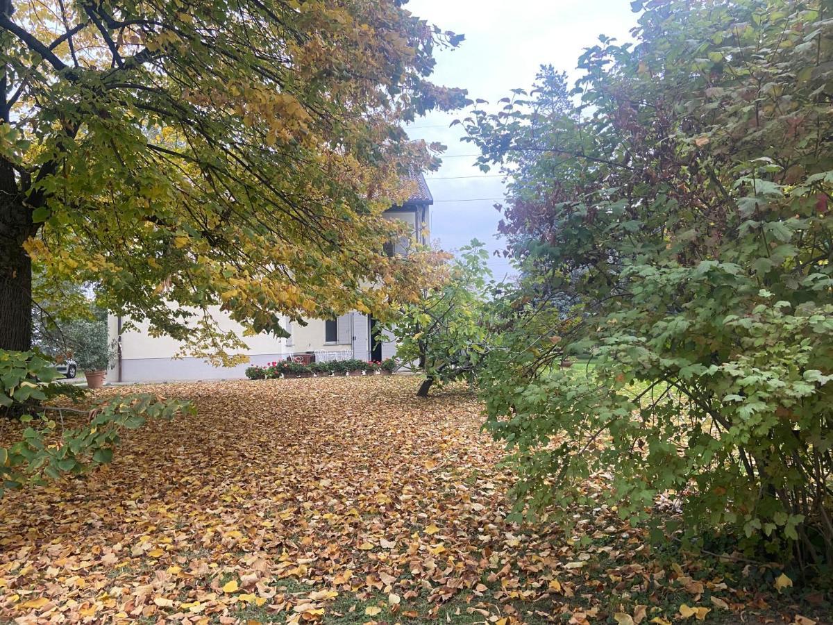 Acero Giallo Parma Buitenkant foto