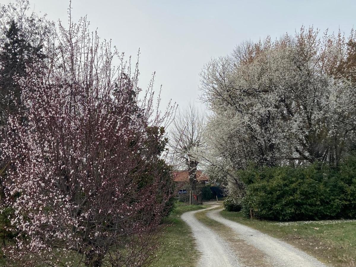 Acero Giallo Parma Buitenkant foto
