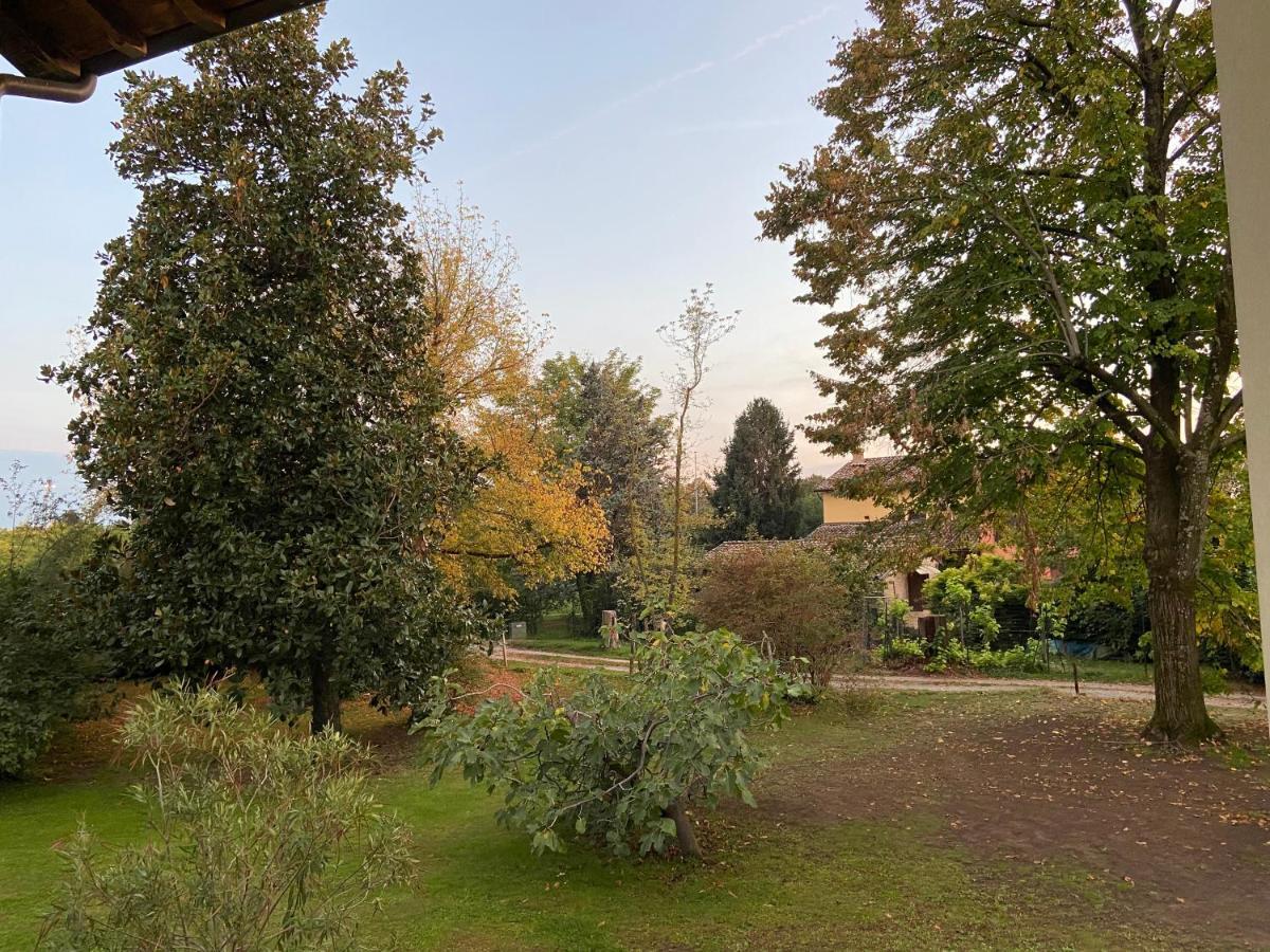 Acero Giallo Parma Buitenkant foto