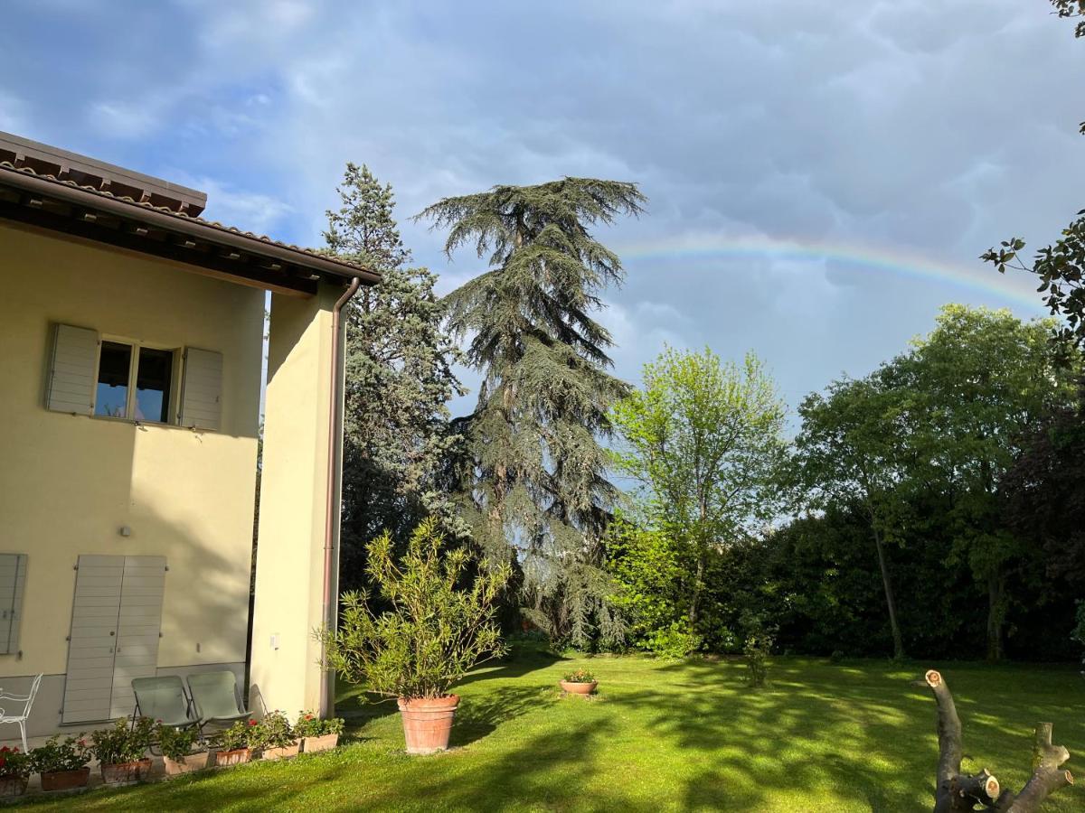 Acero Giallo Parma Buitenkant foto