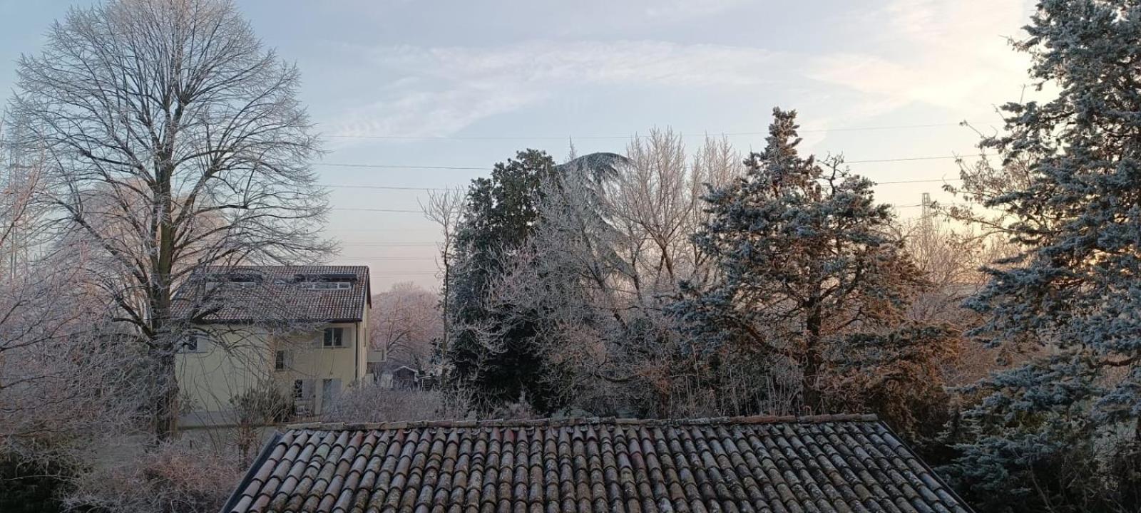 Acero Giallo Parma Buitenkant foto