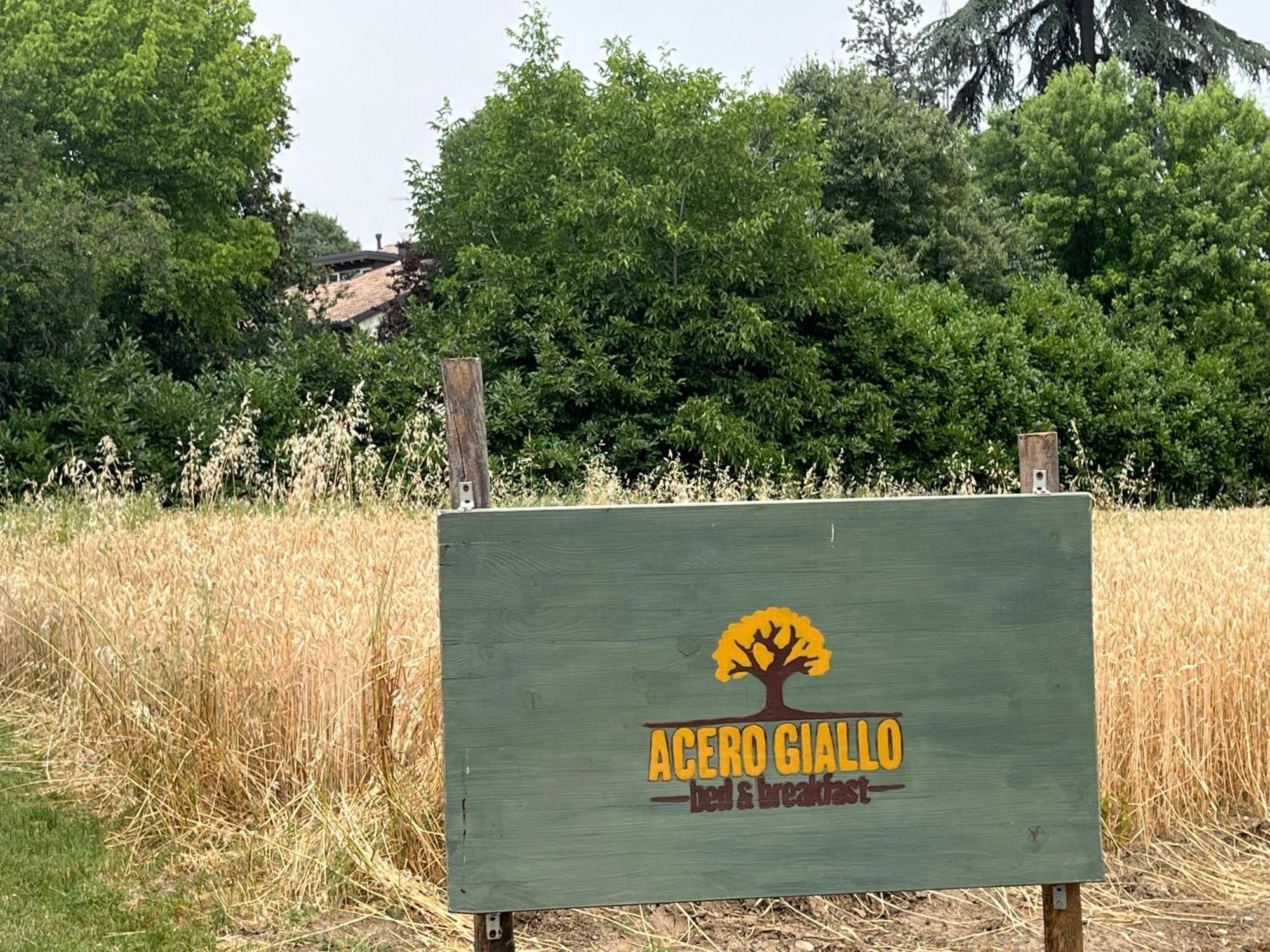 Acero Giallo Parma Buitenkant foto